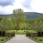 Molino Tejada
