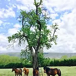 Molino Tejada *