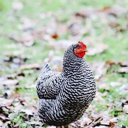 Molino Tejada Apartment *