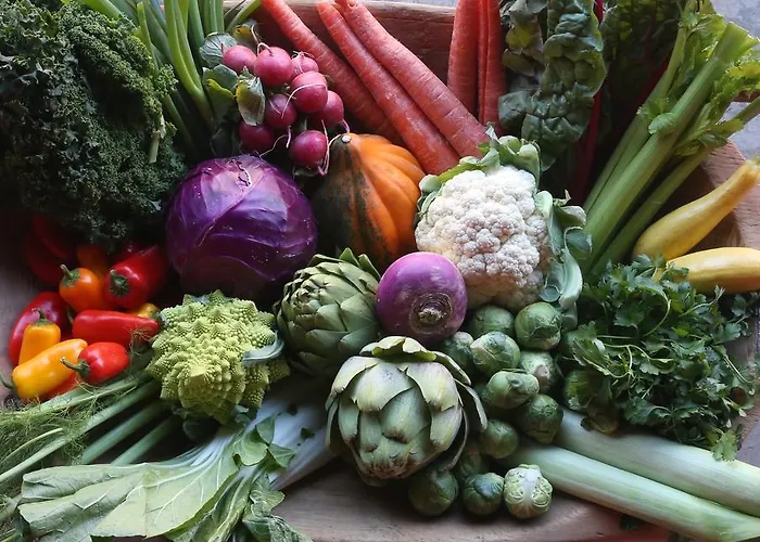 Molino Tejada شقة