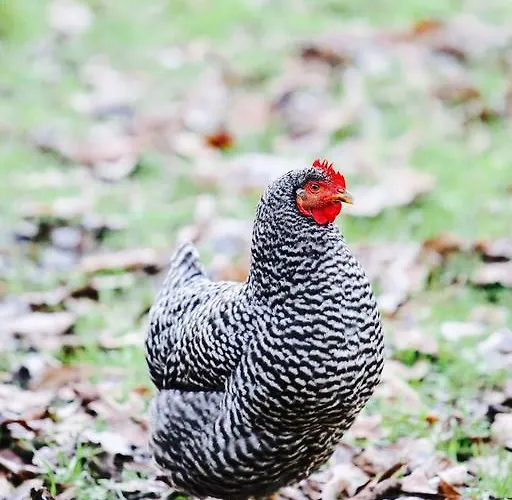 Molino Tejada شقة *