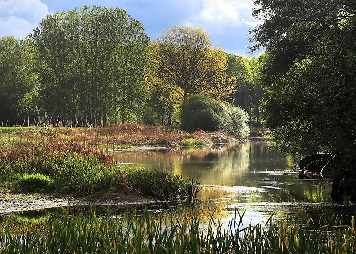 Molino Tejada * Polientes