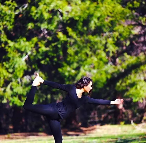 Molino Tejada * Polientes